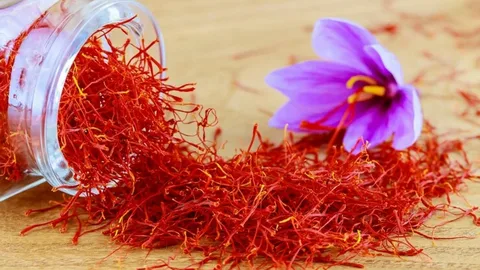 تصویر 4 از زعفران نگین تربت جام در بسته‌ بندی گرمی و شیشه‌ ای مقاوم